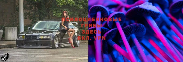 Альфа ПВП Инта