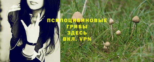 соль ск Иннополис