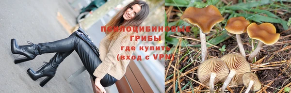 Альфа ПВП Инта