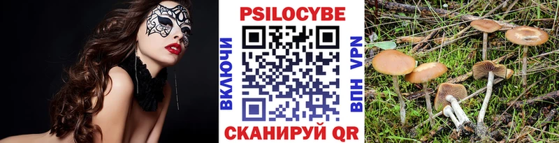 Купить где Новотроицк Галлюциногенные грибы мухоморы